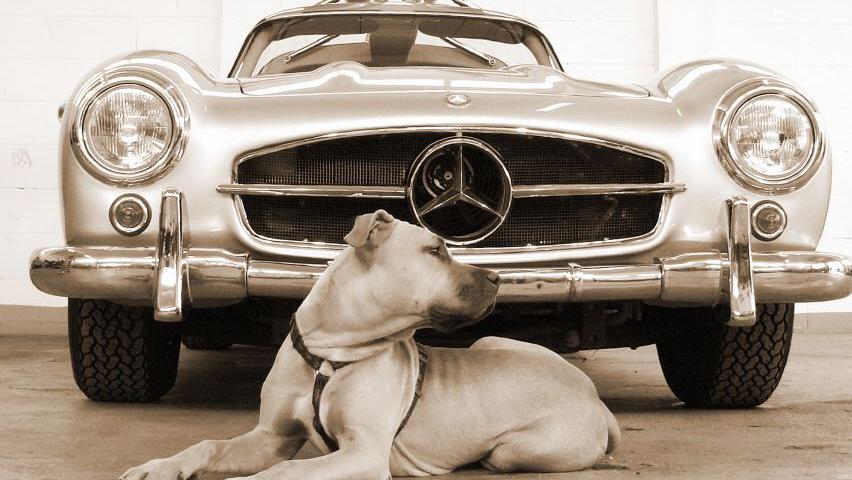 Mercedes 300 SL aufbereitet von SIMON - Fahrzeugaufbereitung und Oberflächentechnik